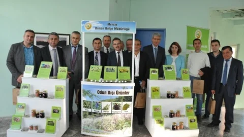 Mersin'de Geyik Elması Çalıştayı Yapıldı