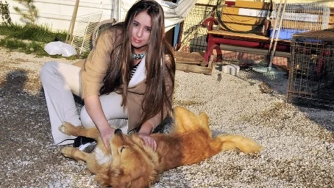 Keçiören'de Sokak Hayvanları Artık Sahipsiz Kalmayacak