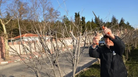Bilecik Belediyesi Ekiplerinin Temizlik Ve Bakım Çalışmaları