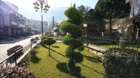 Amasya Belediyesi 3 Bin Ağaç Dikti