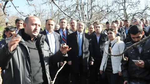 Çiftçilere Meyve Budama Kursu