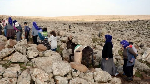 21 Yüzyılda Eşeklerle Su Taşıyorlar