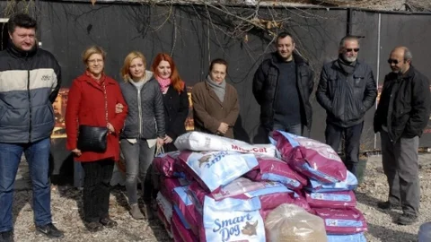 Sokak Hayvanları Aç Bırakılmadı