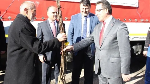 Kastamonu'da 18 Bin Ceviz Fidanı Dağıtıldı
