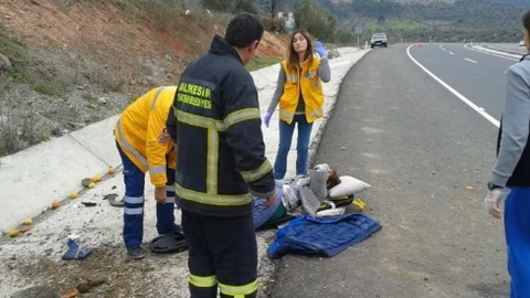 Trafik Kazası 1 Yaralı