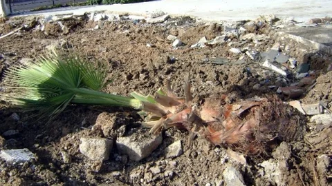 Altınkum'da Güvenlik Zaafiyeti İddiası