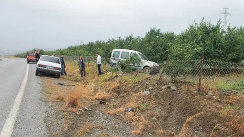 Takla Atarak Narenciye Bahçesine Girdi