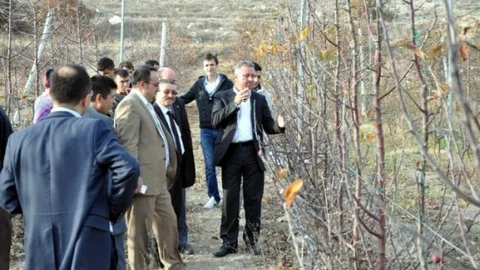 Üreticiye 'budama' Uyarısı