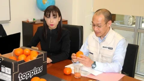 Japonya'ya Yılın İlk Narenciye İhracatı Adana'dan