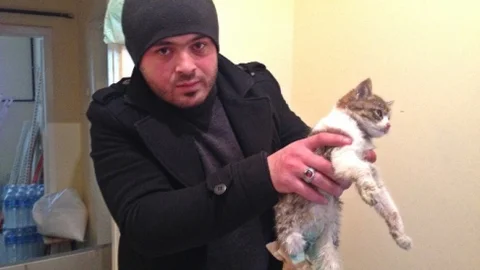 Duyarlı Vatandaş İşyerinin Önünde Bulduğu Yaralı Kediye Sahip Çıkt