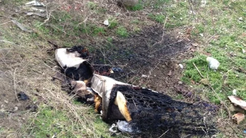 Sungurlu'da Şüpheli Yangın