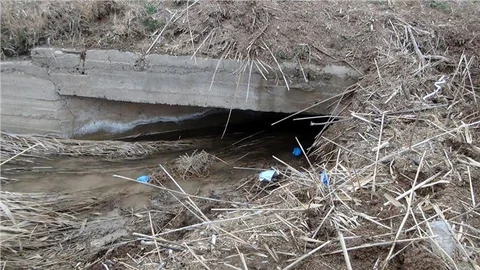 Aksaray'daki kaybolan çift