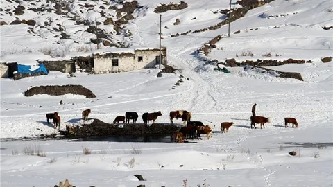 Ardahan'da kış
