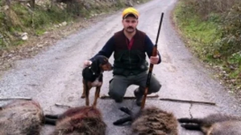 Avcılar Şehir Merkezine Yaklaşan Domuzları Etkisiz Hale Getirdi