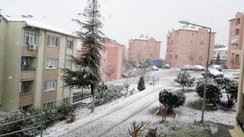 Sakarya Güne Karla Başladı