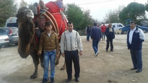 Çan Deveciler Derneğinden Engelli Aracı İçin Güreş