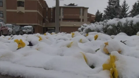 Eskişehir'de Kar Yağışı