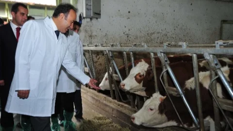 “Canlı Hayvan Borsası Erzurum İçin Çok Önemli Bir İhtiyaç”