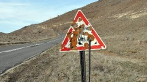 Trafik Levhaları Maganda Kurbanı