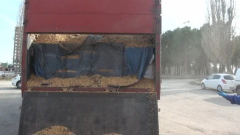 Gaziantep'te 153 Bin Paket Kaçak Sigara Ele Geçirildi