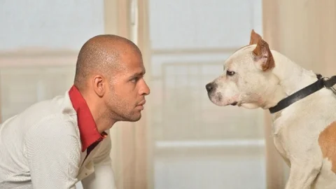 Melo'dan Samimi Açıklamalar