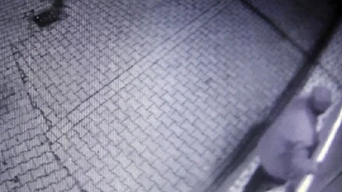 Hırsız Güvenlik Kamerasında