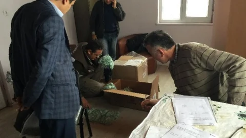 Mikroçip Enjektörü Ve Kulak Küpesi Dağıtımı Yapıldı