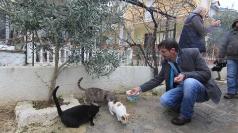Sokak Hayvanlarına Mama Desteği