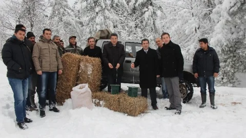 Çan'da Yaban Hayvanlarına Yem Desteği