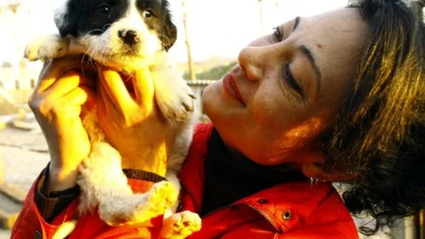 Sevgililer Gününde Hayvan Sahiplenin