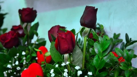 (Özel Haber) ''Gül''ü Seven Dikenine De Katlanıyor