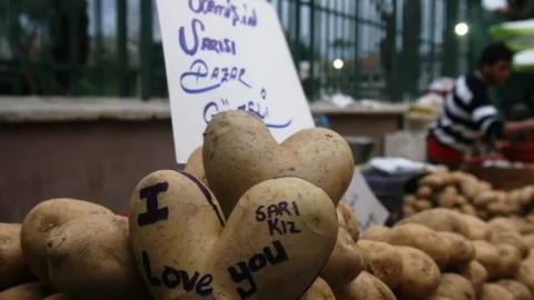 (Özel Haber) Patates Aşka Geldi Kalbe Büründü