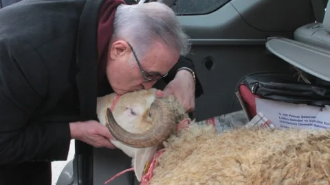 Ensar Öğüt Aracının Bagajında Meclis'e Koç Getirdi