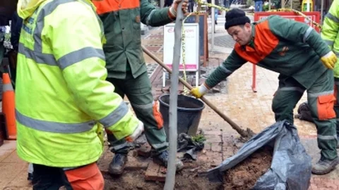 Sanat Sokağı'nda Kesilen Ağaçların Yerine Yenileri Dikildi