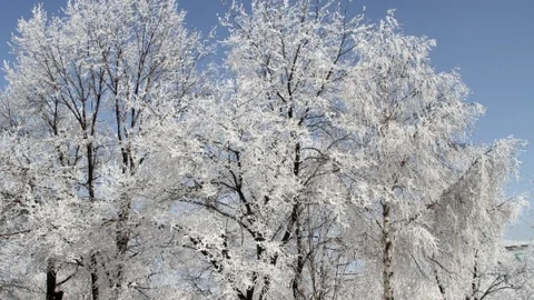 Ardahan'da Kartpostallık Manzaralar