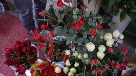 Çiçekler Kapan Kapana Gitti