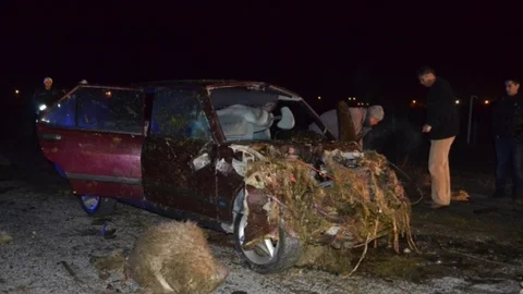 Otomobil Koyun Sürüsüne Çarptı 3 Yaralı