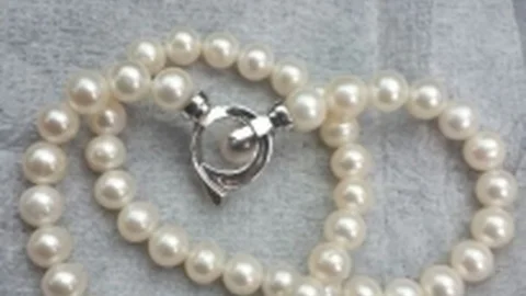 (Özel Haber) Çalıştıkları Villaları Soyan Hırsızlık Çetesi Çökertildi