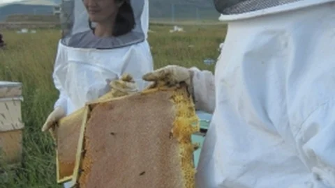 Muğla Bal Üretiminde Liderliği Geri Aldı