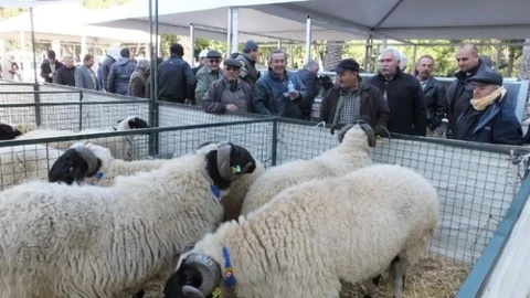 Burhaniyeli Çiftçiler Fuarlarda Yeni Teknolojileri Takip Ediyor