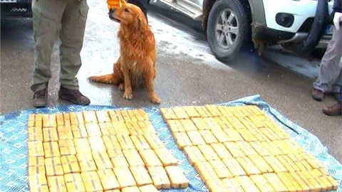 Van'da 63 kilogram eroin ele geçirildi