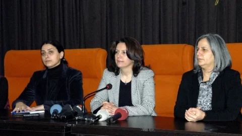 Kışanak'tan Özgecan Yorumu