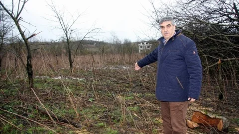 (Özel Haber) Lodos Bursalı Çiftçileri Yıktı Geçti