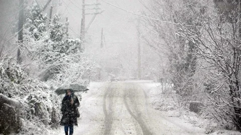 Zonguldak'ta Kar Yağışı Yeniden Başladı