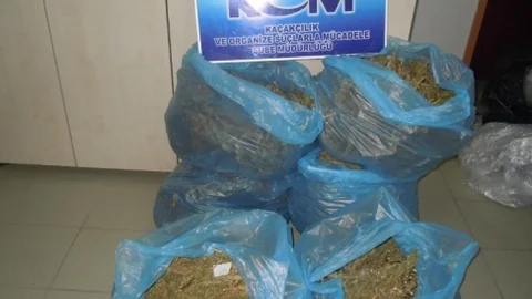 40 Kilo Esrar Ele Geçirildi