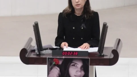 Özgecan Meclis Genel Kurulu'nda