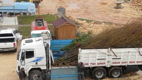Mardin Artuklu Üniversitesi'ne Ağaç Desteği