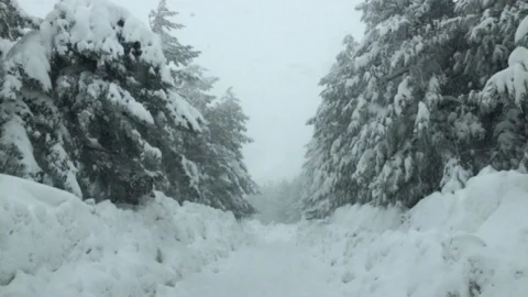 Malatya'da 22 Kırsal Mahallenin Yolu Açıldı