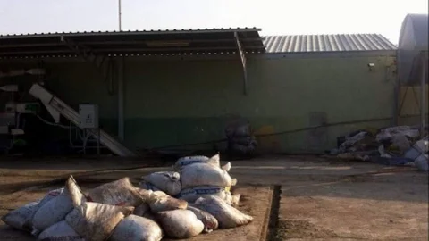 Yemek Molası Verince 700 Kilo Zeytini Çalındı