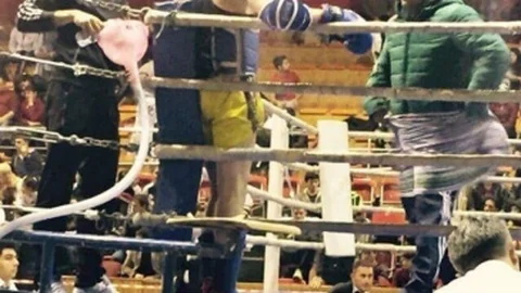 Muay Thai'de Kayseri'ye 59 Madalya Geldi